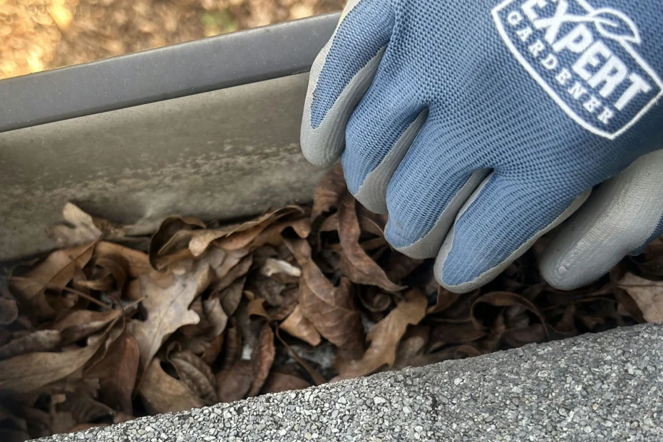 Springdale Gutter Cleaning