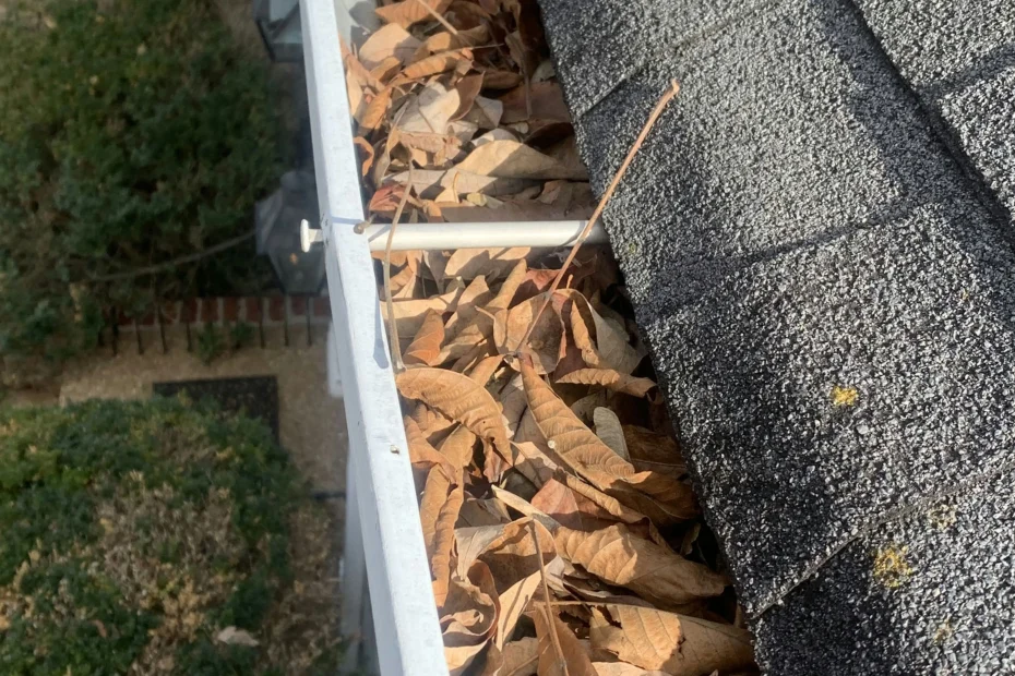 Springdale Gutter Cleaning